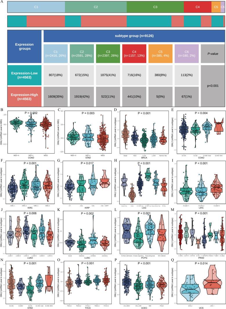 https://cdn.ncbi.nlm.nih.gov/pmc/blobs/8fcf/11576720/1dfd3300ecec/12672_2024_1516_Fig6_HTML.jpg