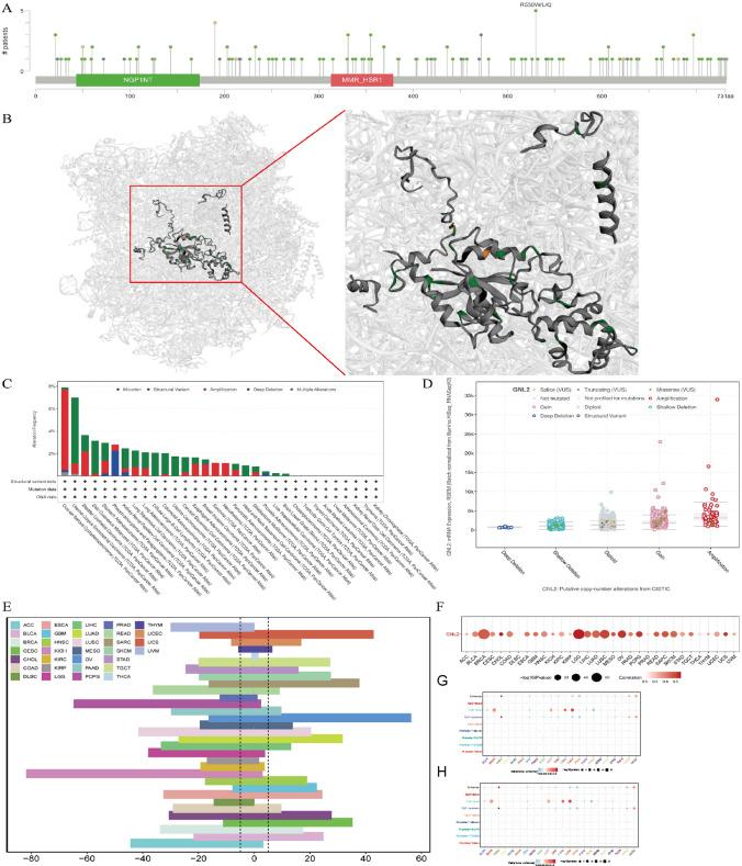 https://cdn.ncbi.nlm.nih.gov/pmc/blobs/8fcf/11576720/bf2a0eff1275/12672_2024_1516_Fig3_HTML.jpg