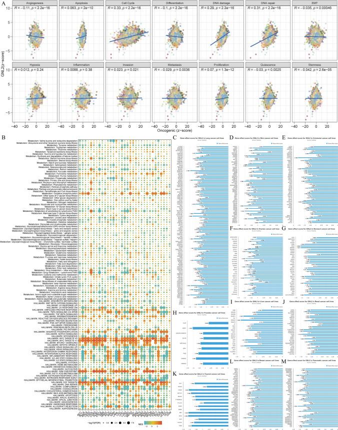 https://cdn.ncbi.nlm.nih.gov/pmc/blobs/8fcf/11576720/d76d066ad602/12672_2024_1516_Fig4_HTML.jpg