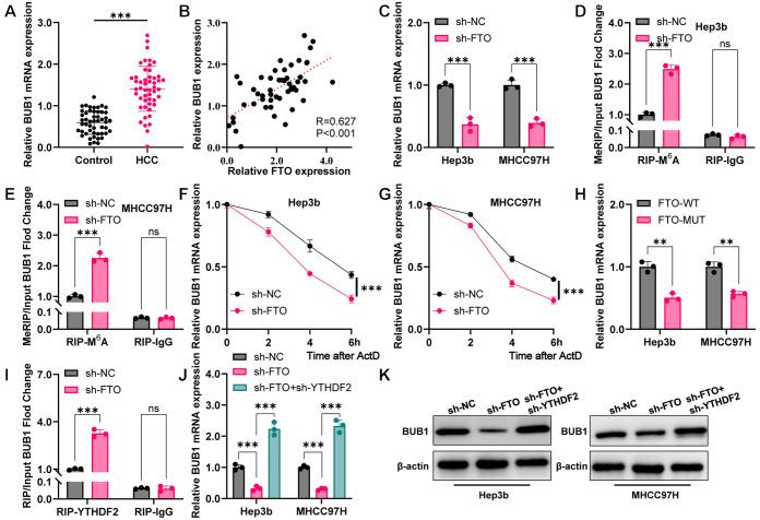 https://cdn.ncbi.nlm.nih.gov/pmc/blobs/8fcf/12078176/1b4f8dad1576/JCTH-13-385-g004.jpg