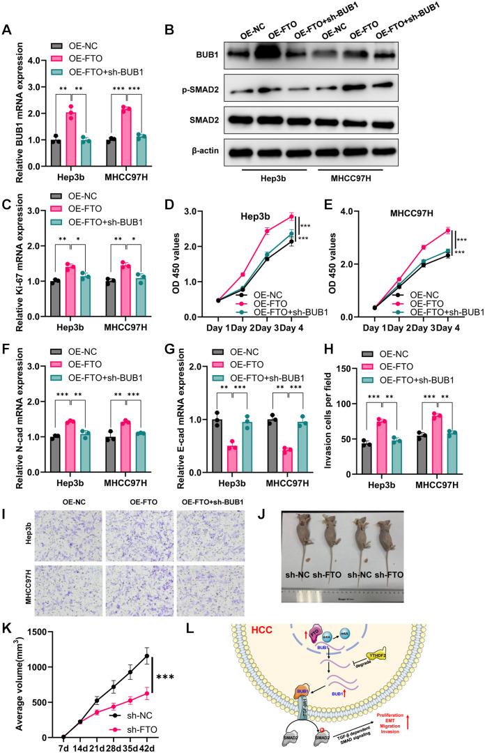 https://cdn.ncbi.nlm.nih.gov/pmc/blobs/8fcf/12078176/ea93fd14c893/JCTH-13-385-g005.jpg