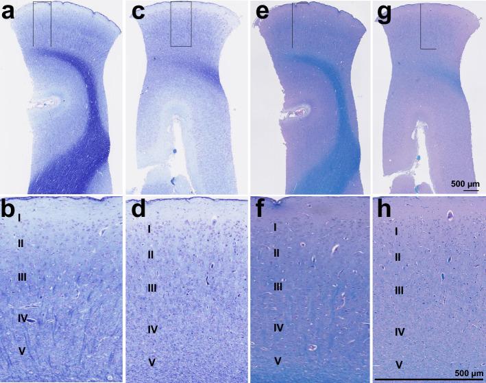 https://cdn.ncbi.nlm.nih.gov/pmc/blobs/8fd0/10457326/c770f35530ba/41598_2023_39344_Fig8_HTML.jpg
