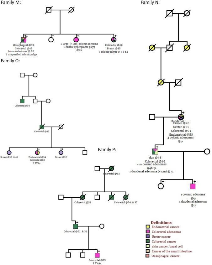 https://cdn.ncbi.nlm.nih.gov/pmc/blobs/8fd0/8964588/b2a5c053b8c1/10689_2021_256_Fig1_HTML.jpg