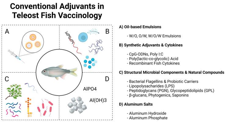 https://cdn.ncbi.nlm.nih.gov/pmc/blobs/8fd1/11679523/93396ad052f0/vaccines-12-01347-g002.jpg
