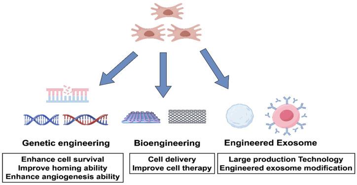 https://cdn.ncbi.nlm.nih.gov/pmc/blobs/8fd1/12250106/ee45eb78c156/ijms-26-06320-g002.jpg