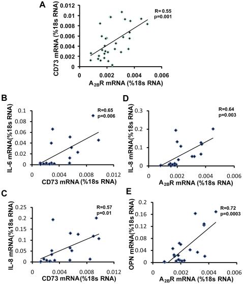 https://cdn.ncbi.nlm.nih.gov/pmc/blobs/8fd1/2821921/63f736b51e6c/pone.0009224.g009.jpg