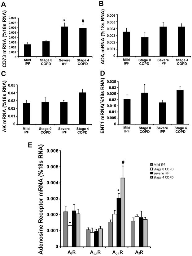 https://cdn.ncbi.nlm.nih.gov/pmc/blobs/8fd1/2821921/8df60be4fa92/pone.0009224.g003.jpg