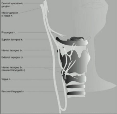 https://cdn.ncbi.nlm.nih.gov/pmc/blobs/8fd1/2900072/a935b66b7ce0/IJA-53-641-g003.jpg