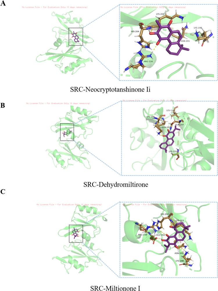 https://cdn.ncbi.nlm.nih.gov/pmc/blobs/8fd2/10873149/b60e03caee19/DDDT-18-425-g0007.jpg