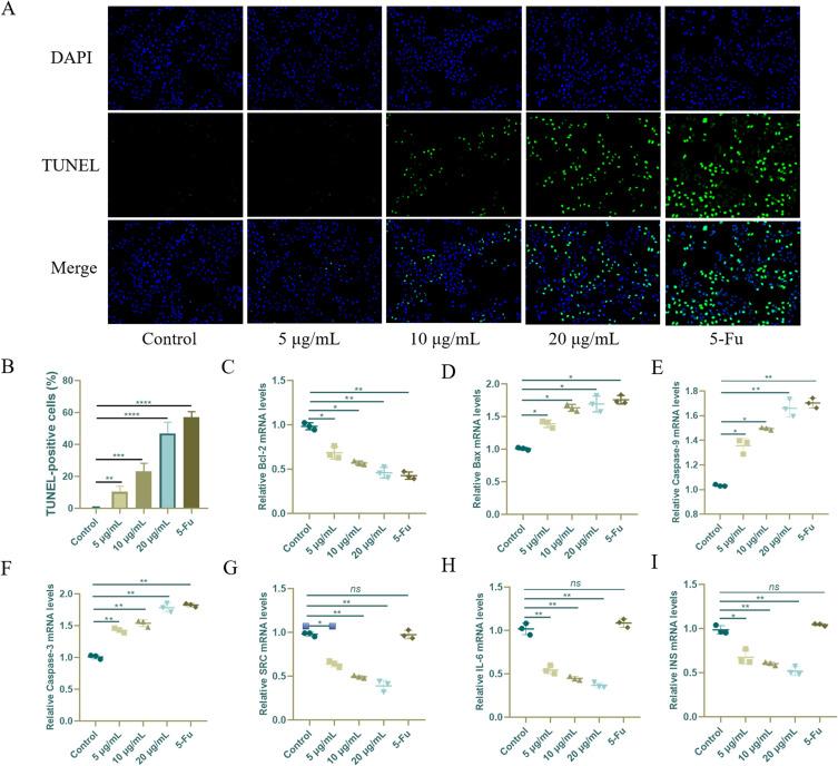 https://cdn.ncbi.nlm.nih.gov/pmc/blobs/8fd2/10873149/d38831cd6184/DDDT-18-425-g0011.jpg