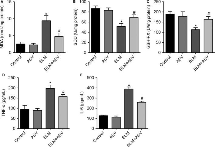 https://cdn.ncbi.nlm.nih.gov/pmc/blobs/8fd2/6111865/8e2038b76f3a/JCMM-22-4354-g002.jpg