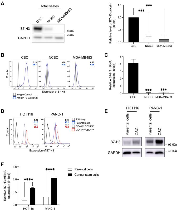 https://cdn.ncbi.nlm.nih.gov/pmc/blobs/8fd3/11995042/9f32f907dea9/gr1.jpg