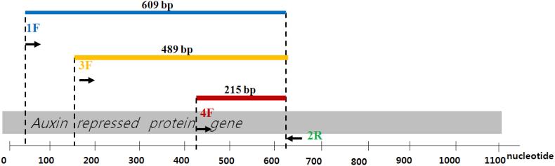 https://cdn.ncbi.nlm.nih.gov/pmc/blobs/8fd5/5052432/c622213eb5e6/gr2.jpg
