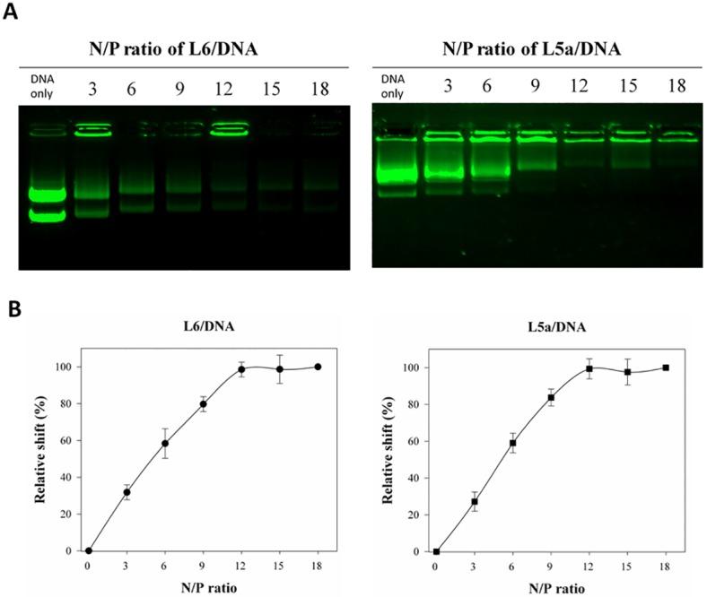 https://cdn.ncbi.nlm.nih.gov/pmc/blobs/8fd7/4778846/392443ceec99/pone.0150439.g003.jpg