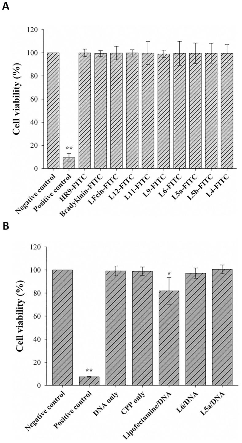 https://cdn.ncbi.nlm.nih.gov/pmc/blobs/8fd7/4778846/4277ff1bc708/pone.0150439.g008.jpg
