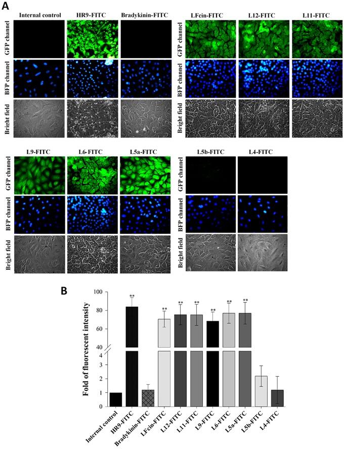 https://cdn.ncbi.nlm.nih.gov/pmc/blobs/8fd7/4778846/92014c709117/pone.0150439.g002.jpg