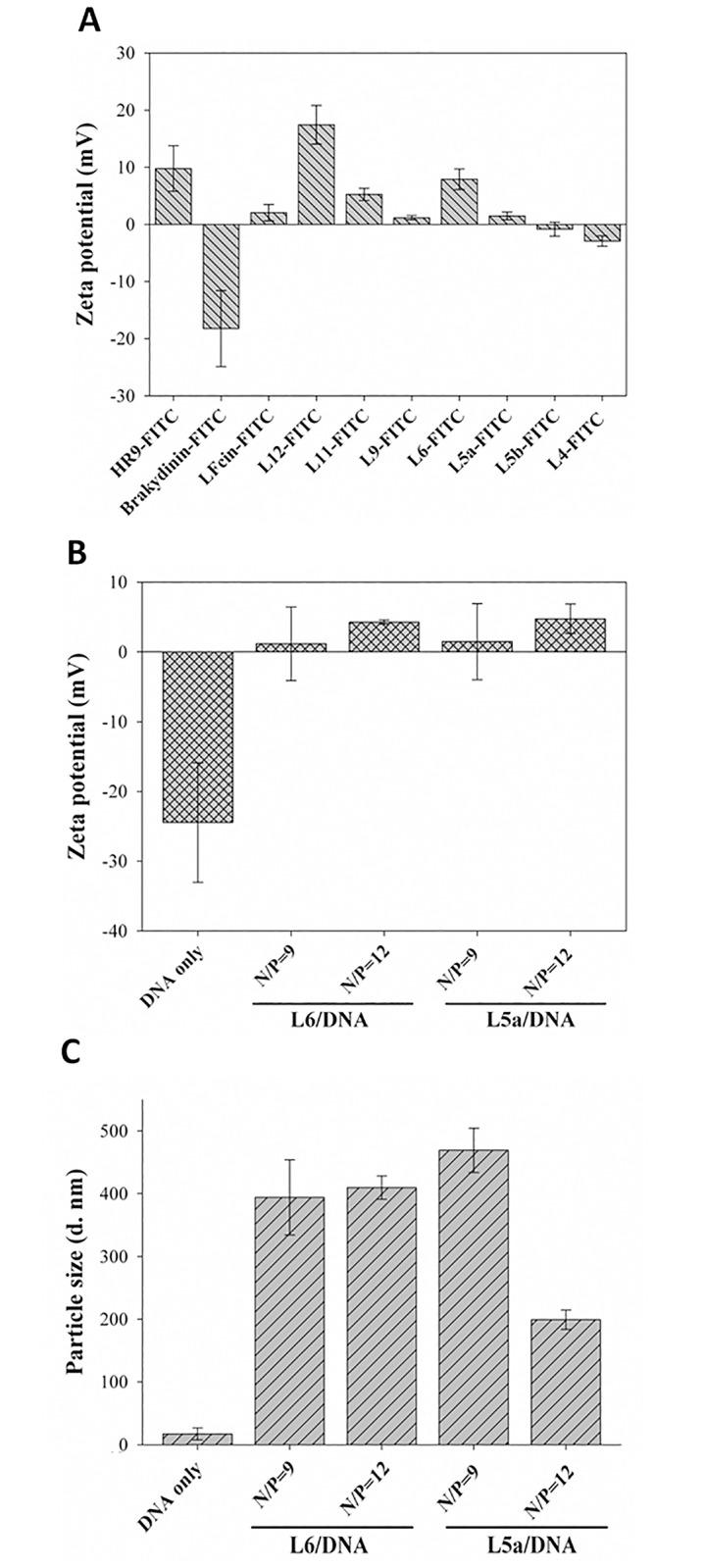 https://cdn.ncbi.nlm.nih.gov/pmc/blobs/8fd7/4778846/abe2d897d535/pone.0150439.g007.jpg