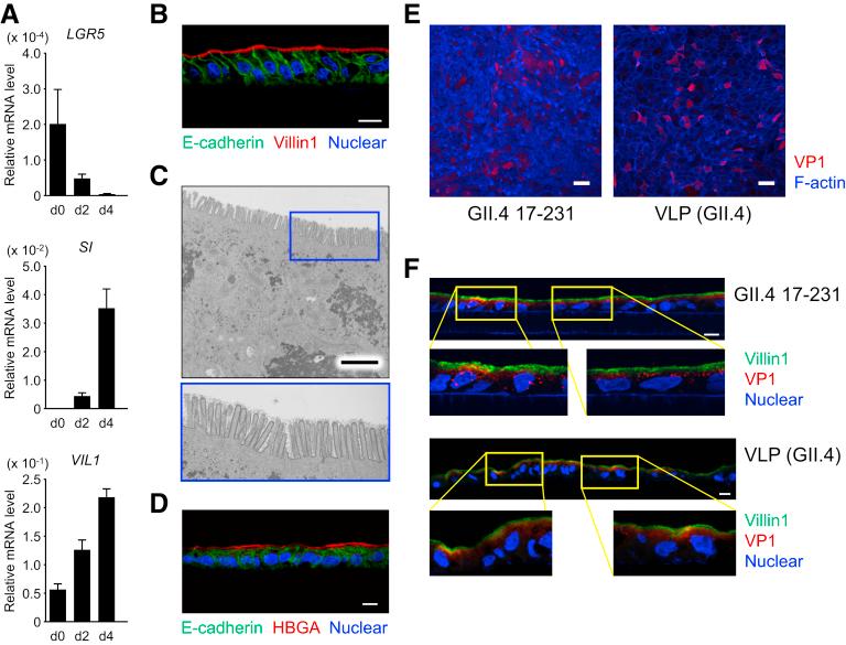 https://cdn.ncbi.nlm.nih.gov/pmc/blobs/8fd7/6477164/de0c50e5c048/fx1.jpg