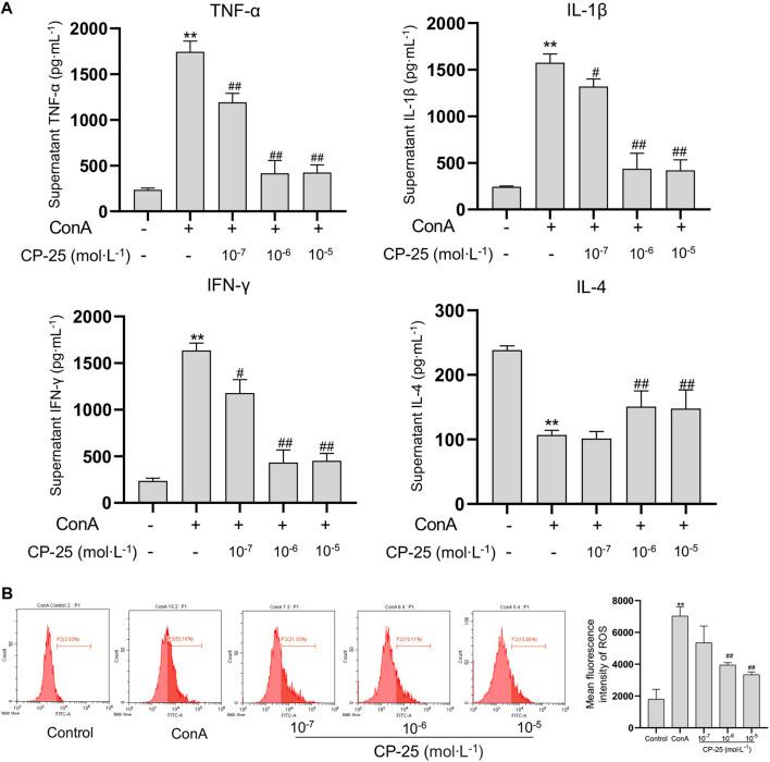 https://cdn.ncbi.nlm.nih.gov/pmc/blobs/8fd7/9705361/5b1b454c5bad/fphar-13-1041671-g005.jpg