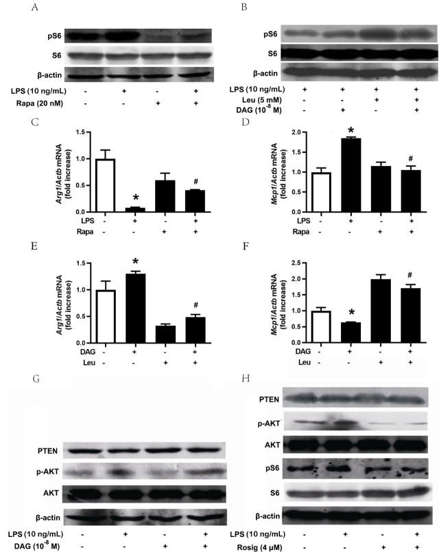 https://cdn.ncbi.nlm.nih.gov/pmc/blobs/8fd8/8386331/1307936286a9/jtim-09-084-g007.jpg
