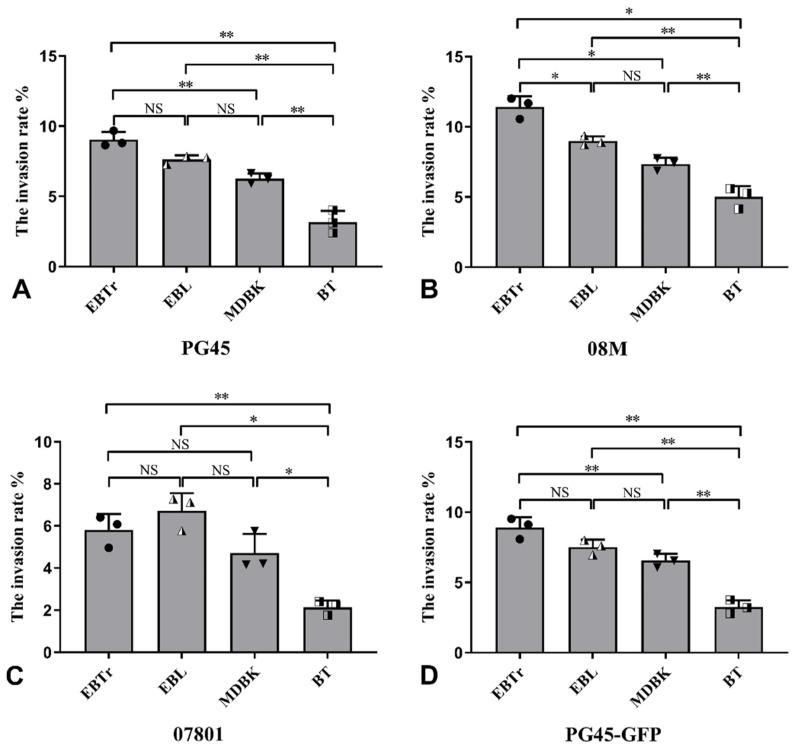https://cdn.ncbi.nlm.nih.gov/pmc/blobs/8fd9/11597682/484ea4867858/pathogens-13-01003-g003.jpg