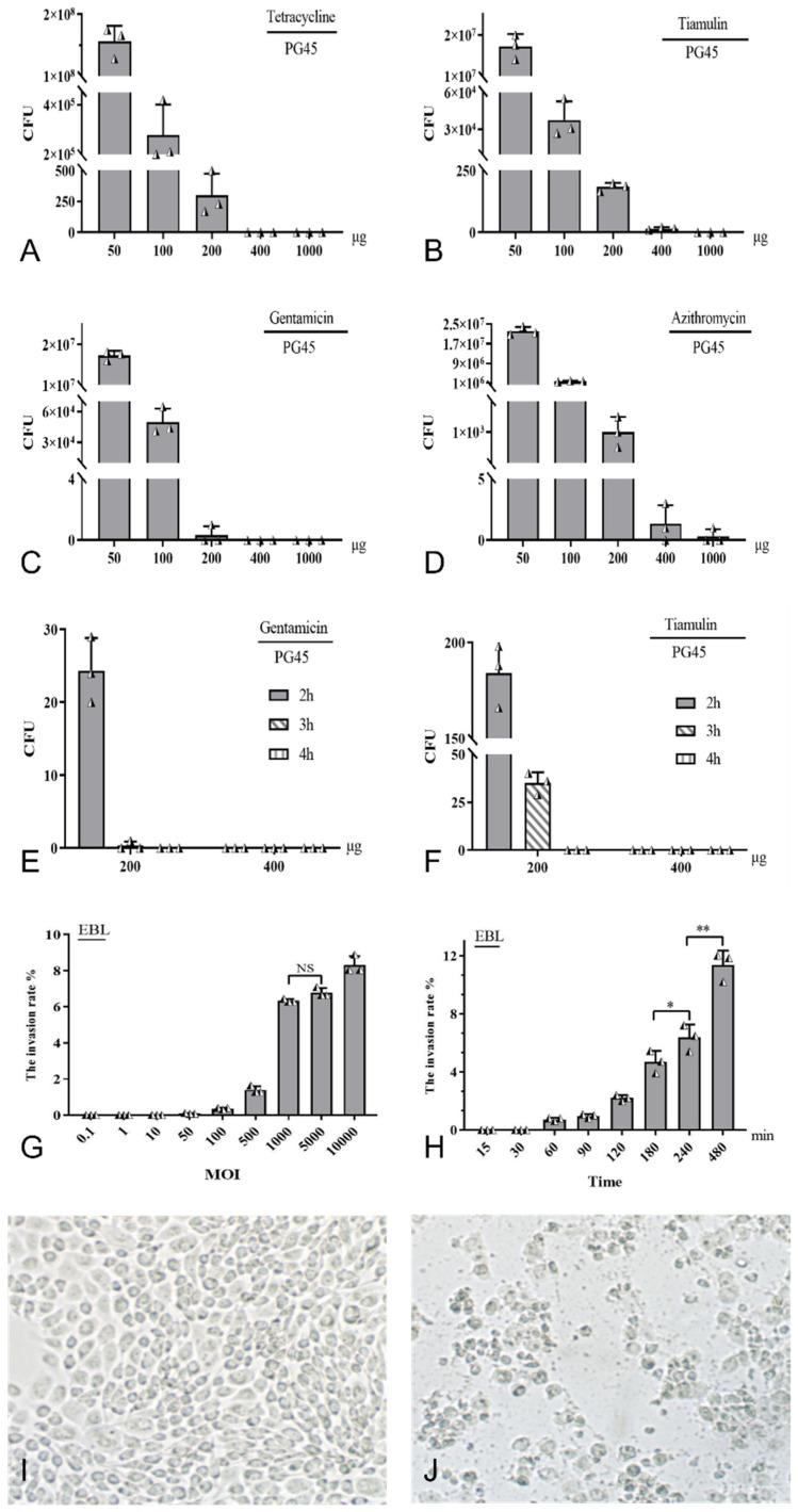 https://cdn.ncbi.nlm.nih.gov/pmc/blobs/8fd9/11597682/bddc57ef0bad/pathogens-13-01003-g001.jpg