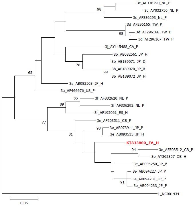 https://cdn.ncbi.nlm.nih.gov/pmc/blobs/8fdb/5124991/d64a7899ca8e/WJG-22-9853-g002.jpg