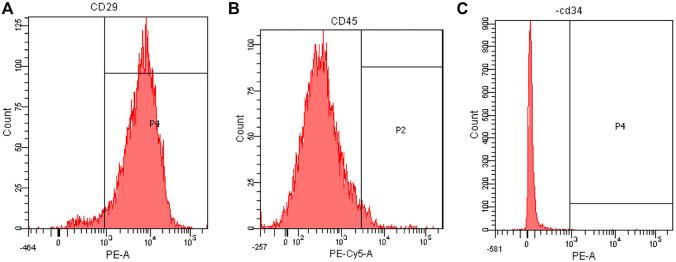 https://cdn.ncbi.nlm.nih.gov/pmc/blobs/8fdd/10027703/520168dcd9b7/fbioe-11-1110703-g006.jpg