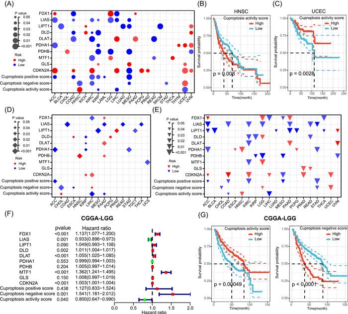 https://cdn.ncbi.nlm.nih.gov/pmc/blobs/8fde/10989956/b166a5272222/IMT2-2-e68-g009.jpg