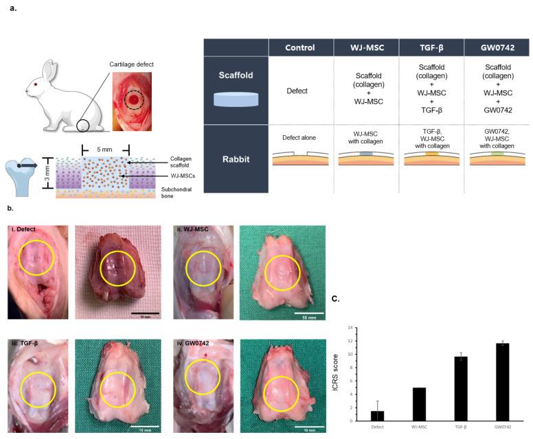 https://cdn.ncbi.nlm.nih.gov/pmc/blobs/8fde/9564068/35caa5209c42/cells-11-02934-g003.jpg