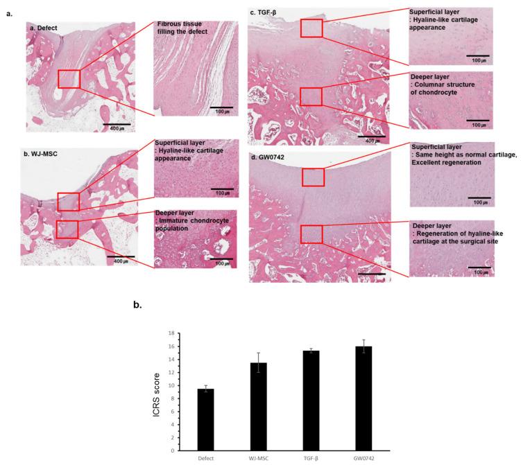 https://cdn.ncbi.nlm.nih.gov/pmc/blobs/8fde/9564068/7c725a3228c2/cells-11-02934-g004.jpg