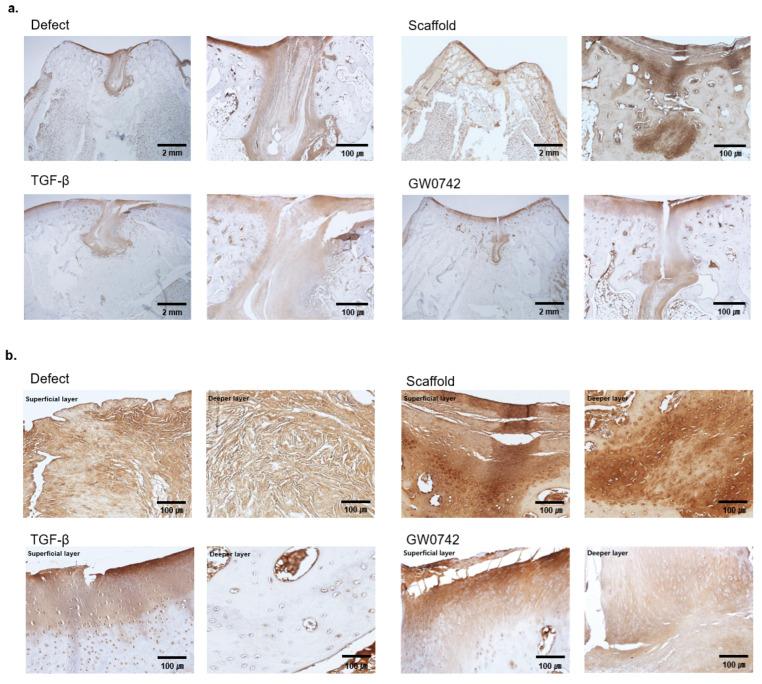 https://cdn.ncbi.nlm.nih.gov/pmc/blobs/8fde/9564068/7f68c1e66f95/cells-11-02934-g005.jpg