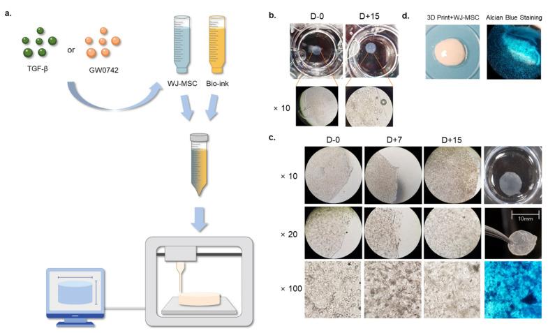 https://cdn.ncbi.nlm.nih.gov/pmc/blobs/8fde/9564068/89b51aeb42ea/cells-11-02934-g001.jpg