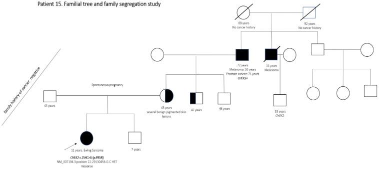 https://cdn.ncbi.nlm.nih.gov/pmc/blobs/8fe1/8582391/884819a4a40e/cancers-13-05339-g004.jpg