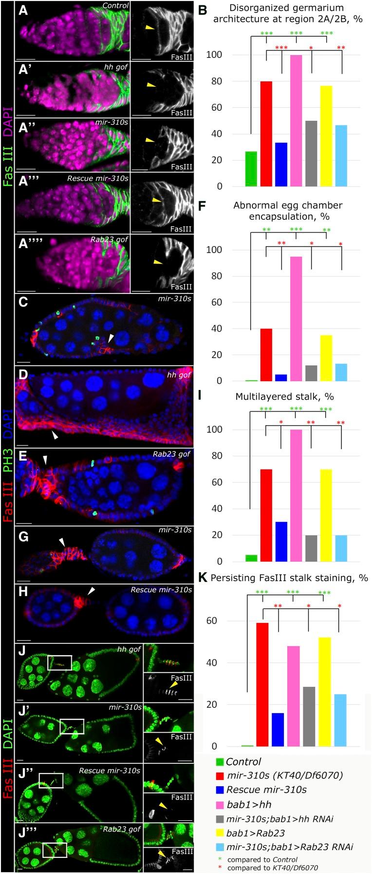 https://cdn.ncbi.nlm.nih.gov/pmc/blobs/8fe2/4788116/e109434fb08f/1167fig5.jpg