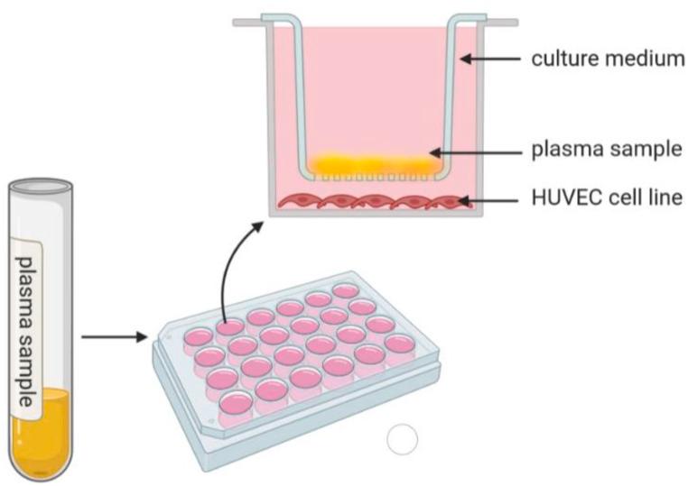 https://cdn.ncbi.nlm.nih.gov/pmc/blobs/8fe3/11363854/5eca3da91192/gr1.jpg