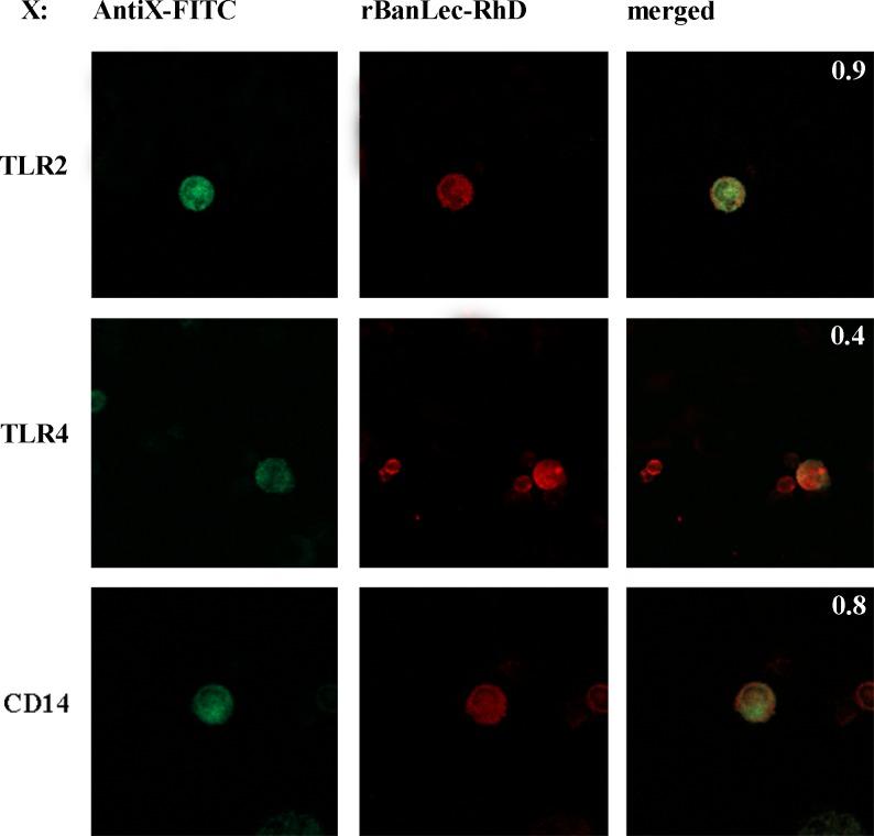 https://cdn.ncbi.nlm.nih.gov/pmc/blobs/8fe3/5325268/90444f006bfa/pone.0172469.g005.jpg