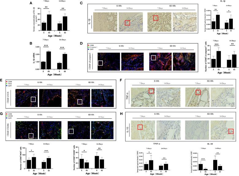 https://cdn.ncbi.nlm.nih.gov/pmc/blobs/8fe4/10157059/104939cd8f53/fimmu-14-1121549-g002.jpg