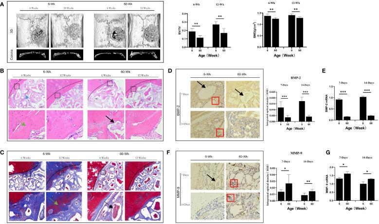 https://cdn.ncbi.nlm.nih.gov/pmc/blobs/8fe4/10157059/7a83a7b6d393/fimmu-14-1121549-g001.jpg