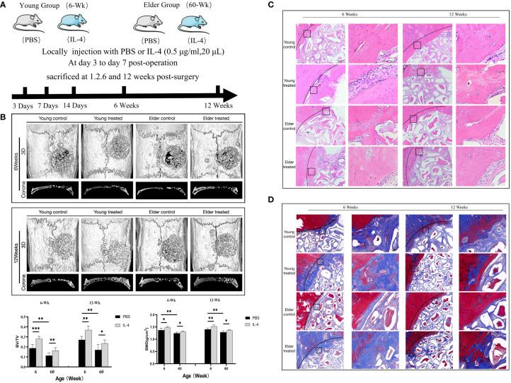 https://cdn.ncbi.nlm.nih.gov/pmc/blobs/8fe4/10157059/e588b6d2e942/fimmu-14-1121549-g003.jpg