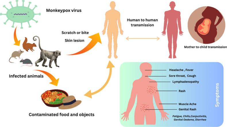 https://cdn.ncbi.nlm.nih.gov/pmc/blobs/8fe4/10774656/be080a275575/ga1.jpg
