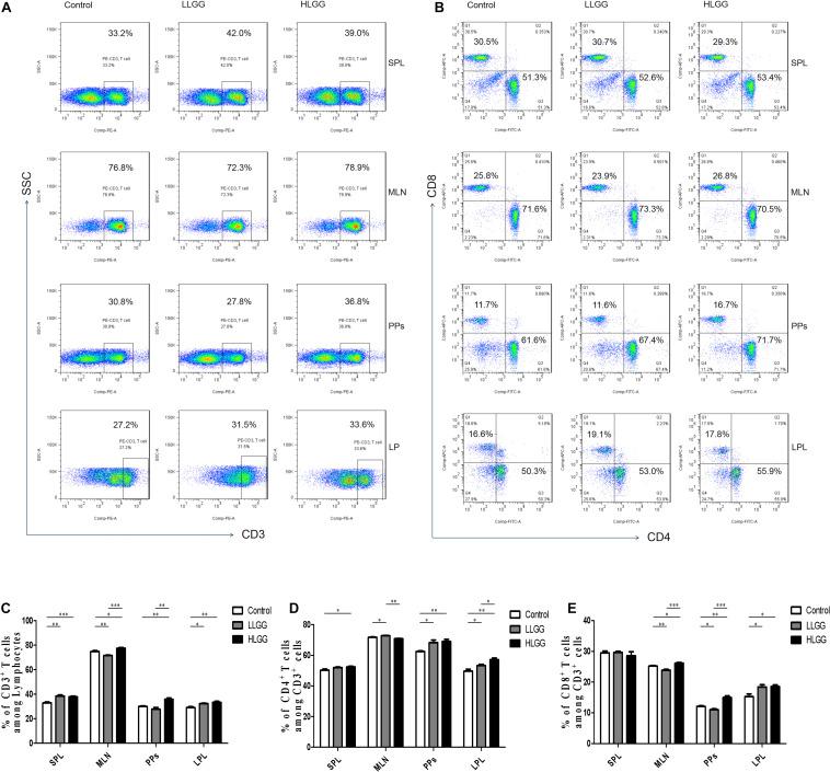 https://cdn.ncbi.nlm.nih.gov/pmc/blobs/8fe4/7773731/73ed154b2c41/fmicb-11-607735-g005.jpg
