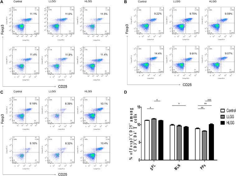 https://cdn.ncbi.nlm.nih.gov/pmc/blobs/8fe4/7773731/e25359f1b902/fmicb-11-607735-g009.jpg
