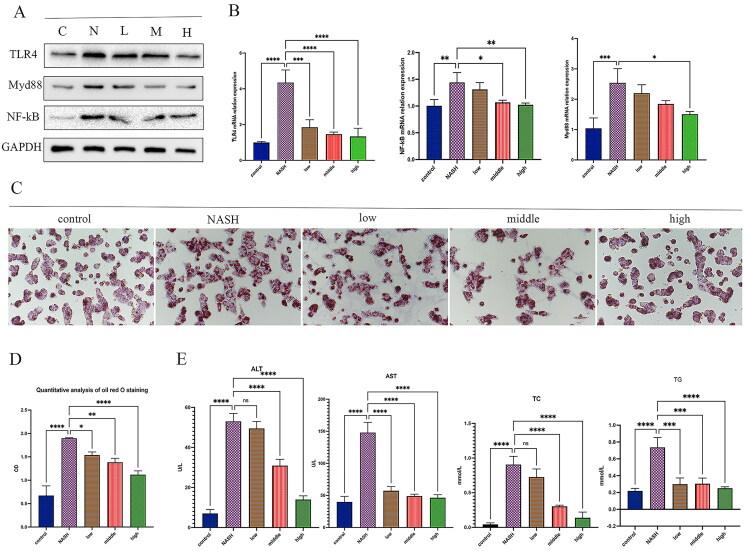 https://cdn.ncbi.nlm.nih.gov/pmc/blobs/8fe8/10013566/53a8a58b7c55/IPHB_A_2182892_F0004_C.jpg