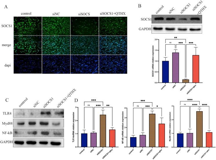 https://cdn.ncbi.nlm.nih.gov/pmc/blobs/8fe8/10013566/9257043d87f6/IPHB_A_2182892_F0006_C.jpg
