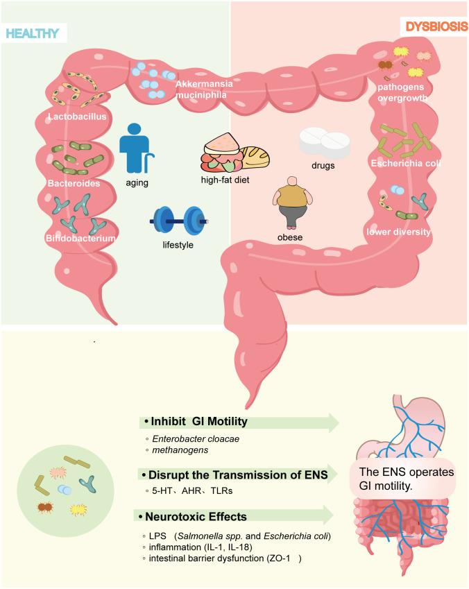 https://cdn.ncbi.nlm.nih.gov/pmc/blobs/8fe9/12375670/42d087d6394a/fcimb-15-1603442-g002.jpg