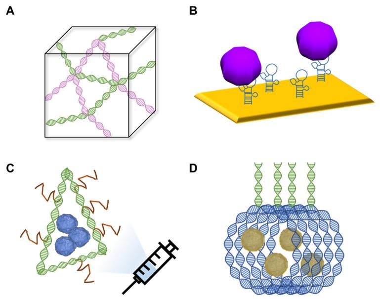 https://cdn.ncbi.nlm.nih.gov/pmc/blobs/8fef/9864780/d949d62d7a8a/nanomaterials-13-00361-g001.jpg