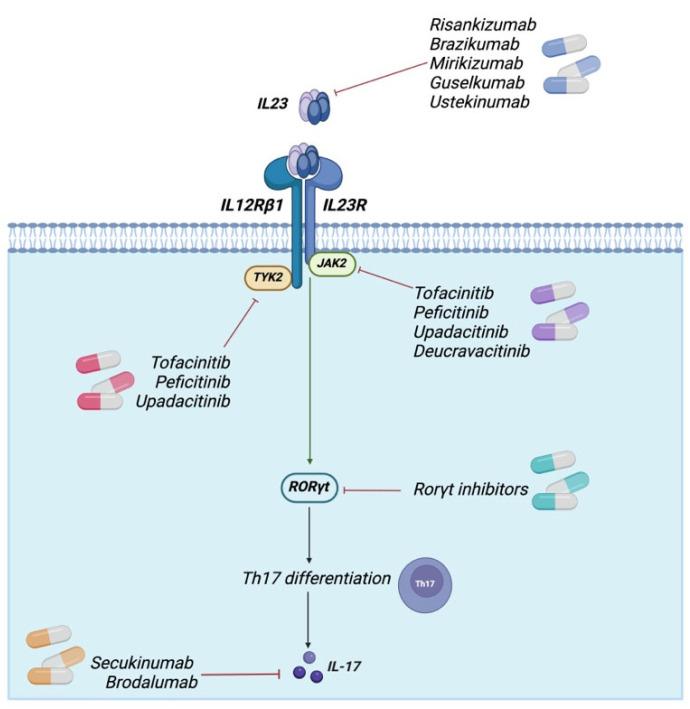 https://cdn.ncbi.nlm.nih.gov/pmc/blobs/8ff0/11718844/f8fb91d3de4c/cancers-17-00055-g005.jpg