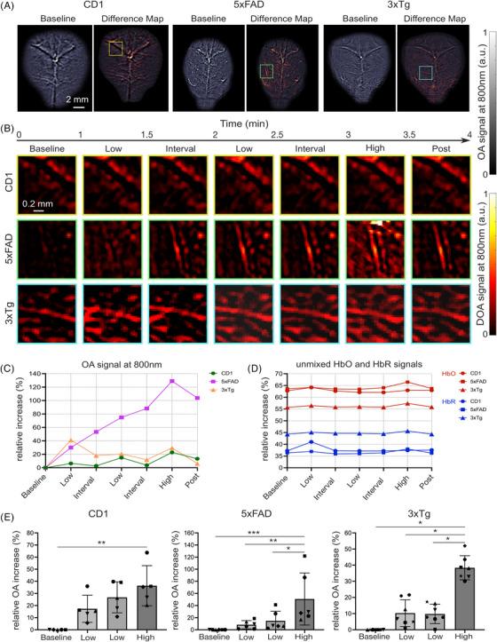https://cdn.ncbi.nlm.nih.gov/pmc/blobs/8ff1/11848200/07b66a7cca77/ALZ-21-e14511-g002.jpg