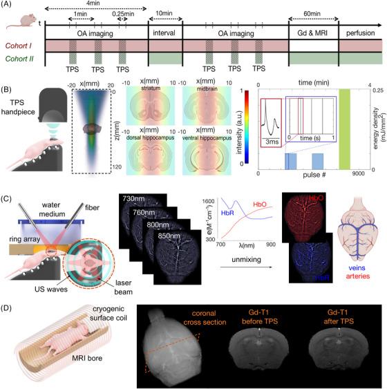 https://cdn.ncbi.nlm.nih.gov/pmc/blobs/8ff1/11848200/9bd1d0be11a5/ALZ-21-e14511-g001.jpg